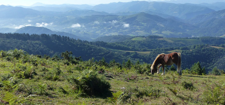 Que faire en famille au Pays Basque ?